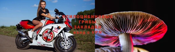 МДПВ Алексин