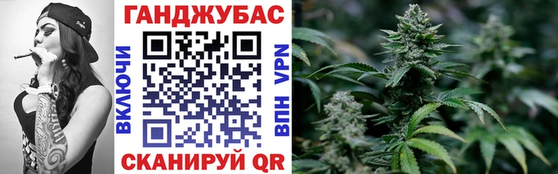 МЕГА tor  Новосиль  Марихуана семена 